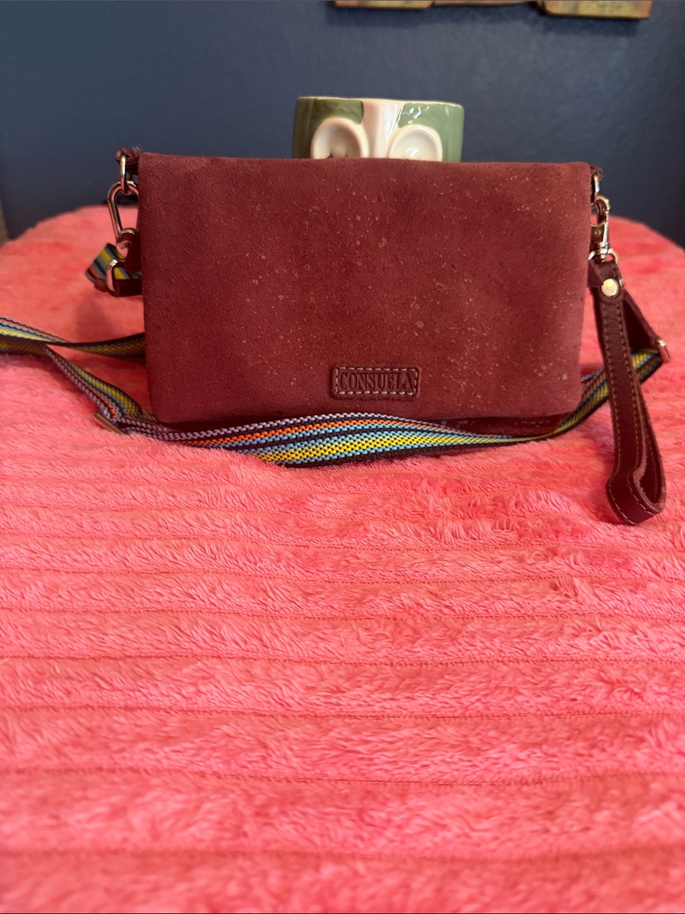 Consuela Burgundy Suede Crossbody with Multicolor Strap